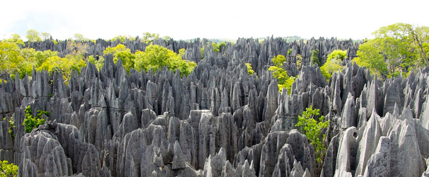 Tsingy de l'Ankarana